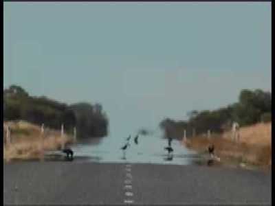 Allan Giddy. You (excerpt from 30'.mov) Thumbnail for Allan Giddy. You (excerpt from 30'.mov)