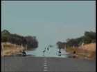 Thumbnail for Allan Giddy. You (excerpt from 30'.mov)